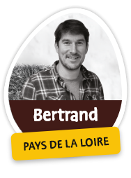 Bertrand - Pays d ela loire