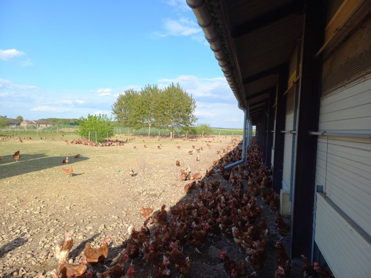 Et dans les Yvelines aussi il y a du soleil !