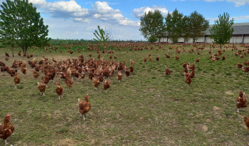 Et dans les Yvelines aussi il y a du soleil !
