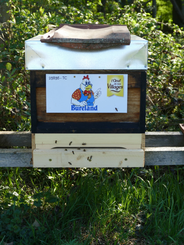 Une de nos ruches en Alsace