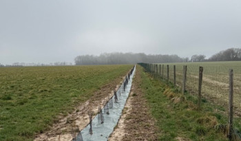 Les plantations d'arbres continuent !