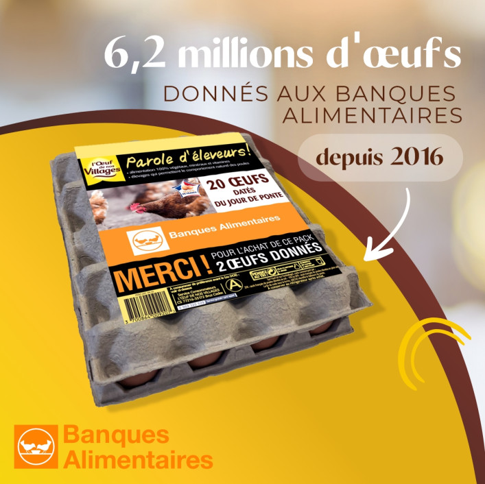 Campagne Banques Alimentaires 2023